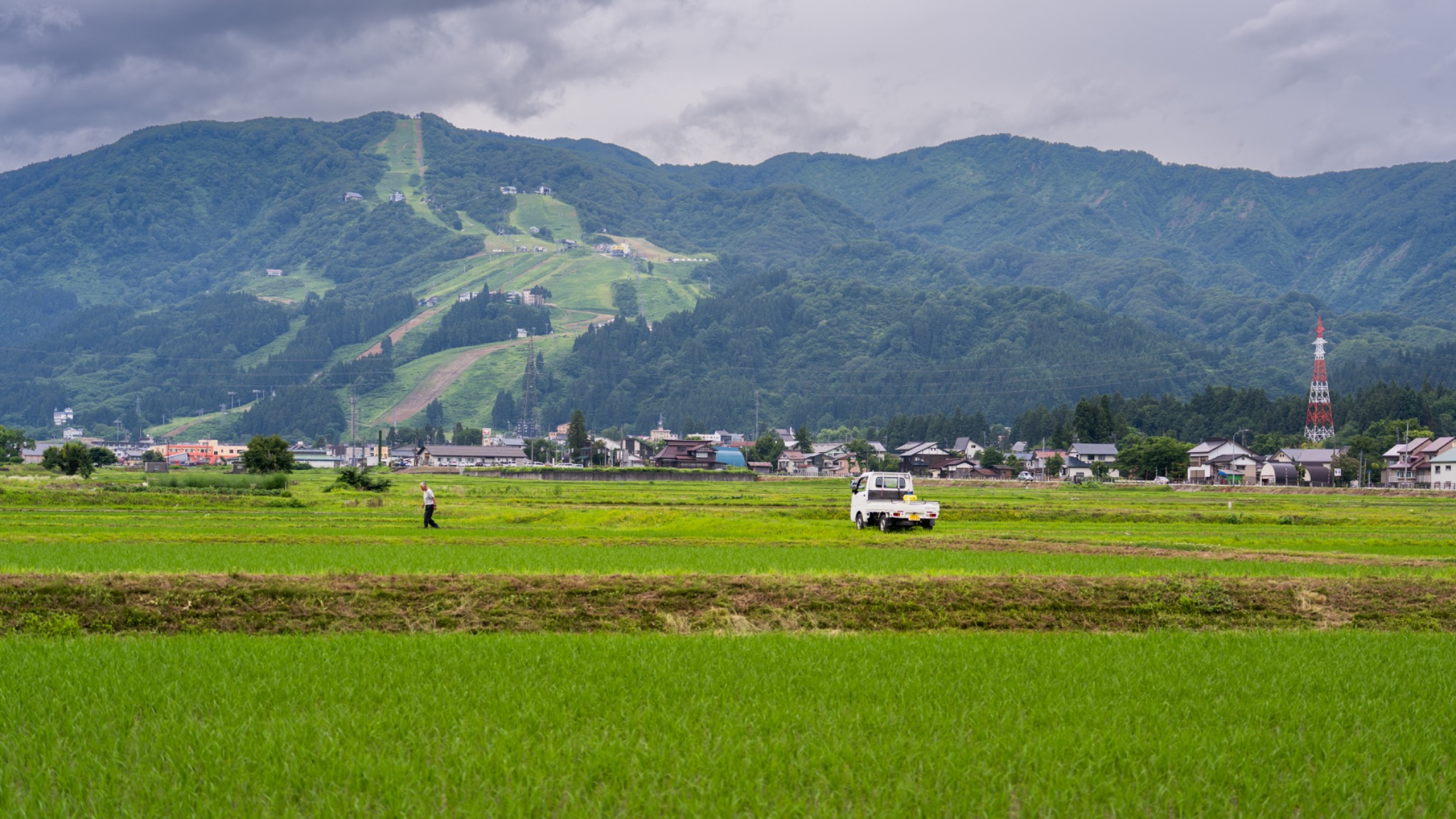 Fields below the ski slopes in Japan